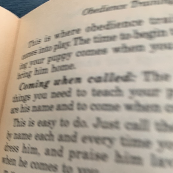 There are NO Bad Dogs soft cover book - Picture 5 of 8